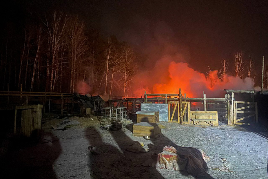 Около 70 животных сгорело при пожаре в свердловском приюте