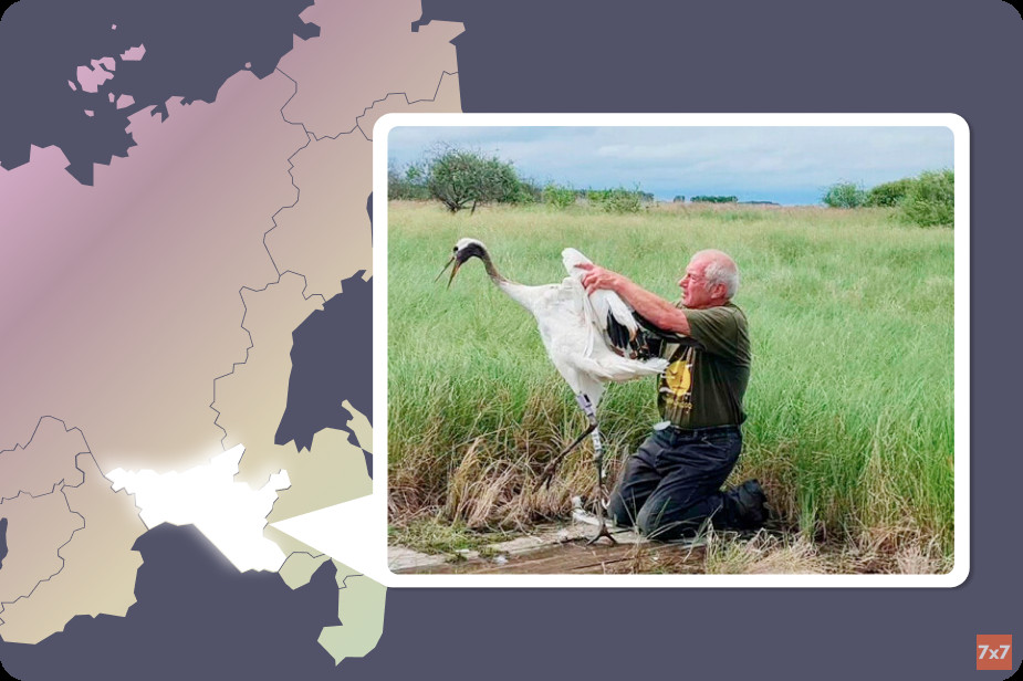 Кому помочь: парку в Амурской области, спасающему редкие виды птиц от исчезновения