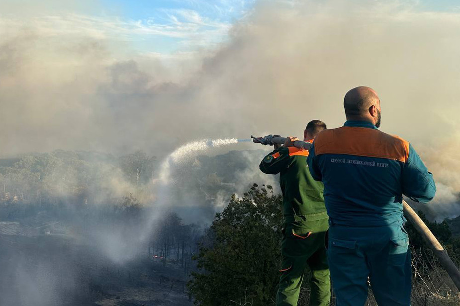 Лесной пожар в Краснодарском крае задел уникальный заповедник. Чем еще обернется это возгорание для региона?